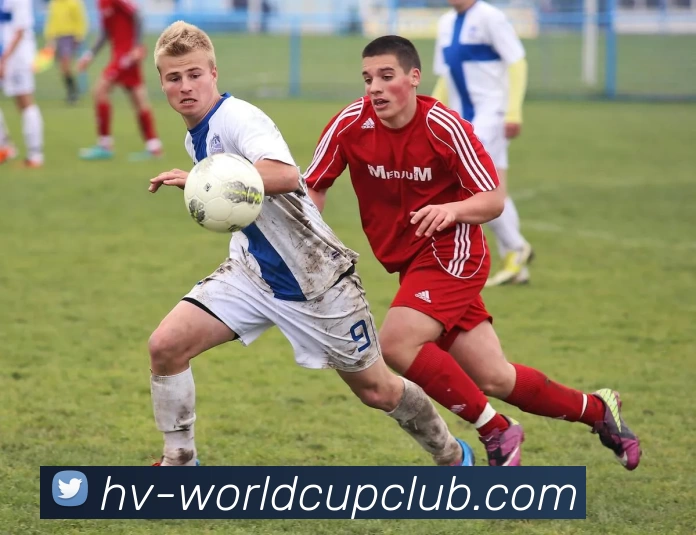 世俱杯投注平台生态图